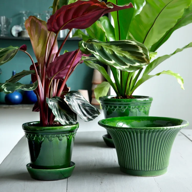 doniczka, doniczka  Bergs Pottery