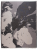 507249000034_FLOREO throw_Taupe_Grey_Black_Gold_L170 x W130_full.png