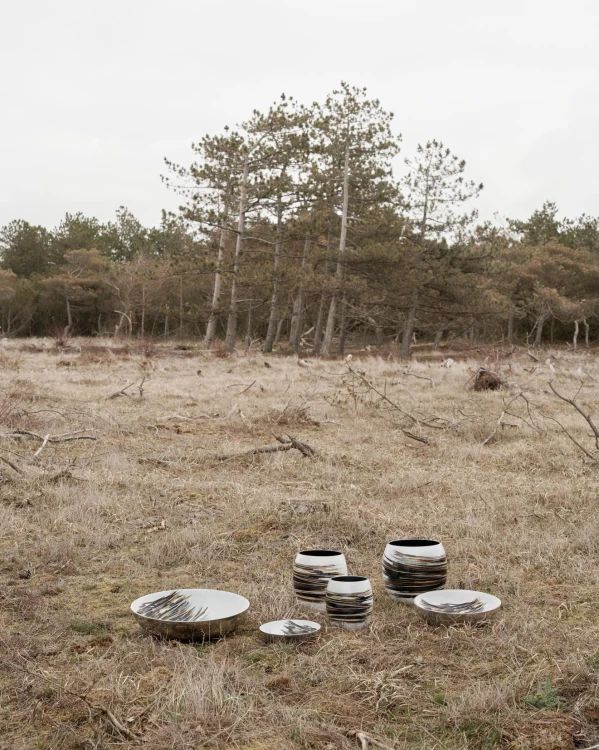 wazon, wazon Stelton