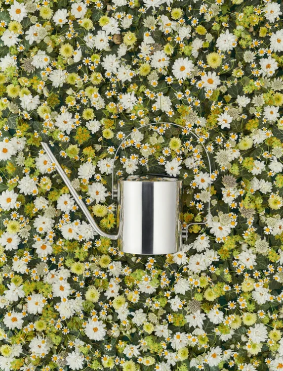 konewka, konewka Stelton