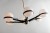 lampa, lampa wisząca Troy Lighting