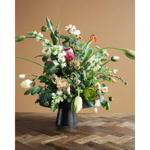 misa, taca House Doctor