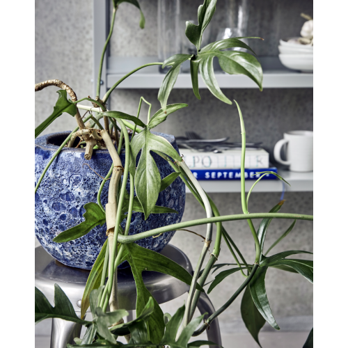 doniczka, donica  House Doctor