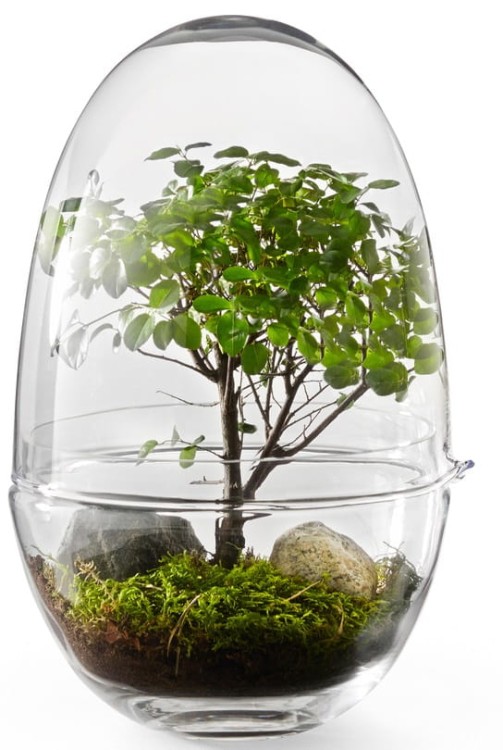 wazon, wazon Design House Stockholm