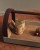 młynek, zestaw do przypraw Gejst