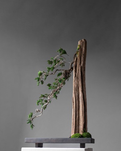 taca dekoracyjna, taca 101Copenhagen